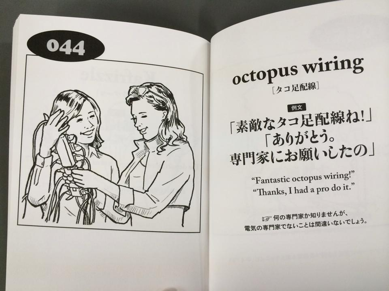 Illustration for article titled Japan's Oddest English Book Is Still Wonderfully Strange